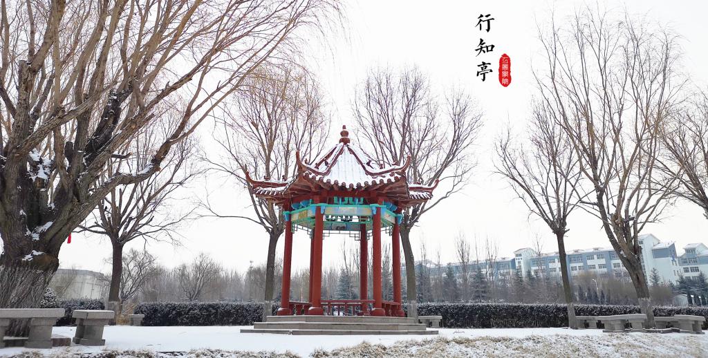 潍坊工商职业学院